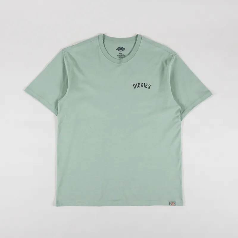 Dickies Snake T Shirt Iceberg Green-1