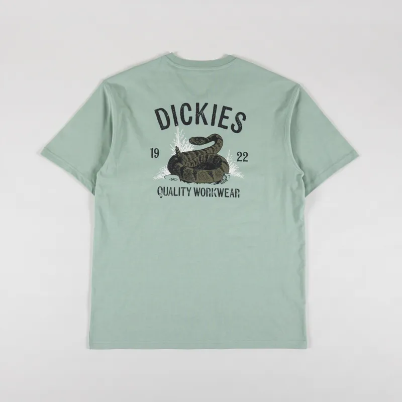 Dickies Snake T Shirt Iceberg Green