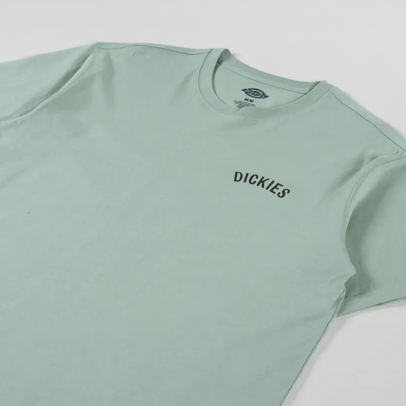 Dickies Snake T Shirt Iceberg Green-3