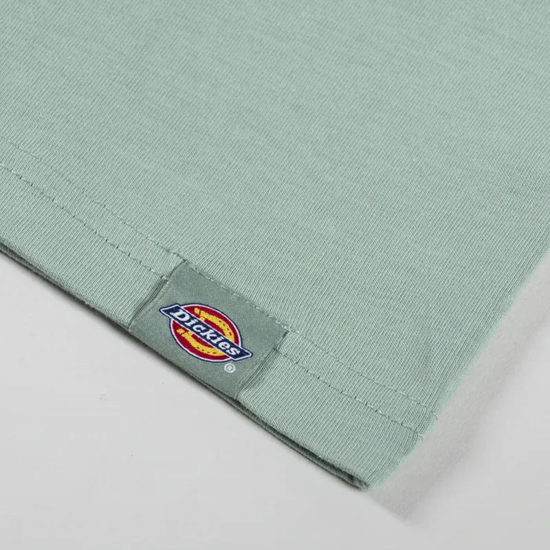 Dickies Snake T Shirt Iceberg Green-6