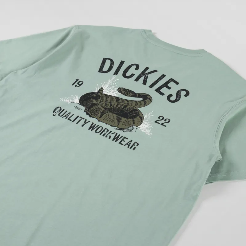 Dickies Snake T Shirt Iceberg Green-2