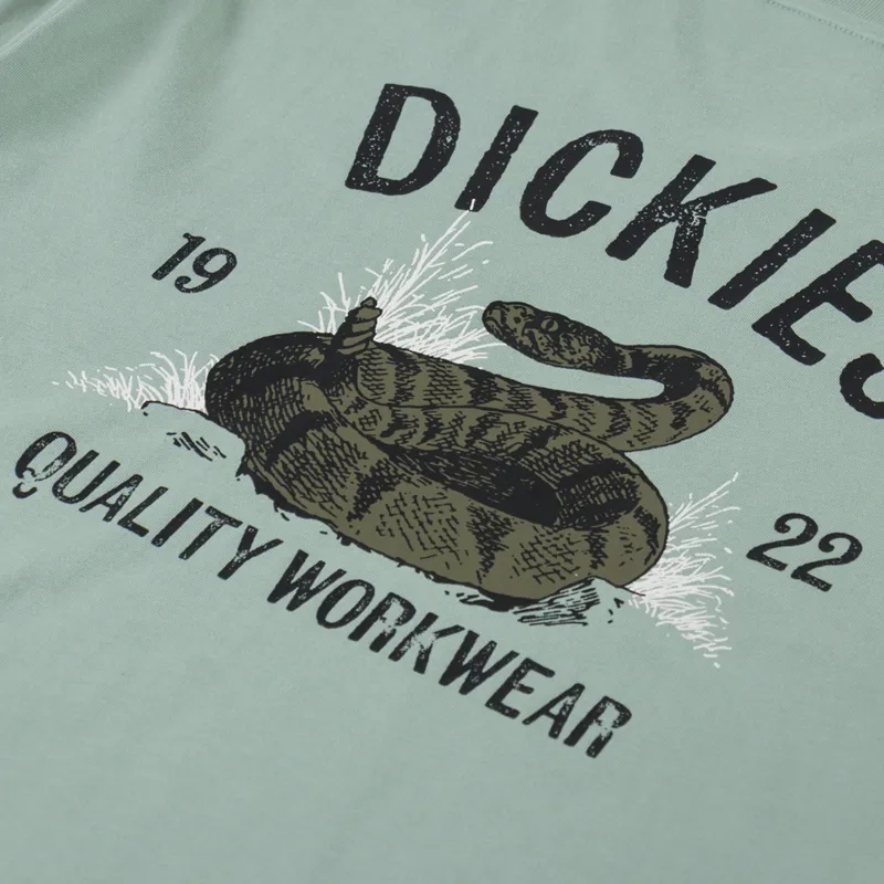 Dickies Snake T Shirt Iceberg Green-4