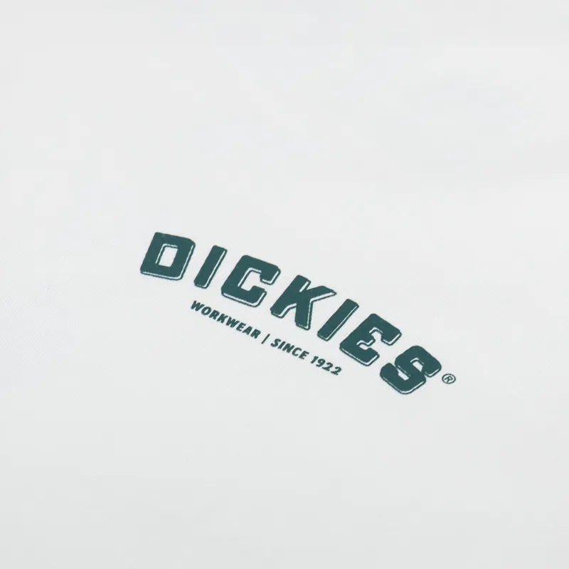 Dickies Builder T Shirt Cloud-5