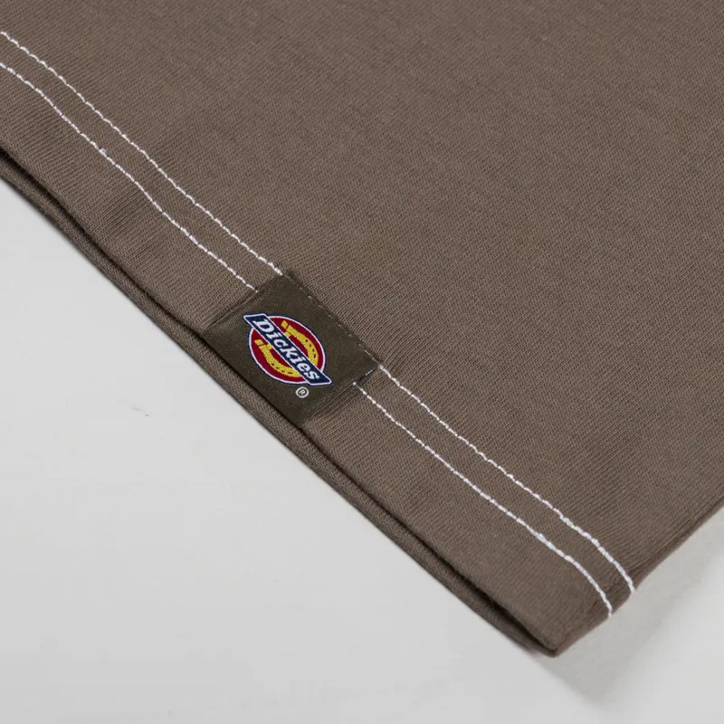 Dickies Philipsburg T Shirt Mushroom-3