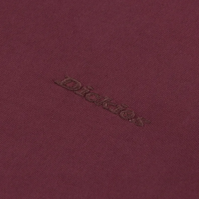 Dickies Plentywood T Shirt Andorra-2