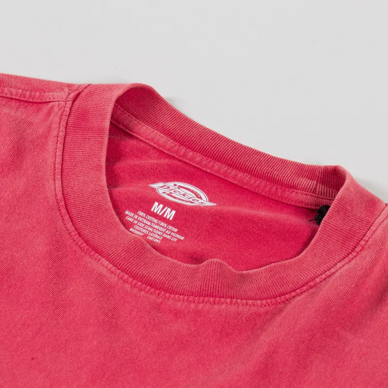 Dickies Plentywood T Shirt Garnet-3