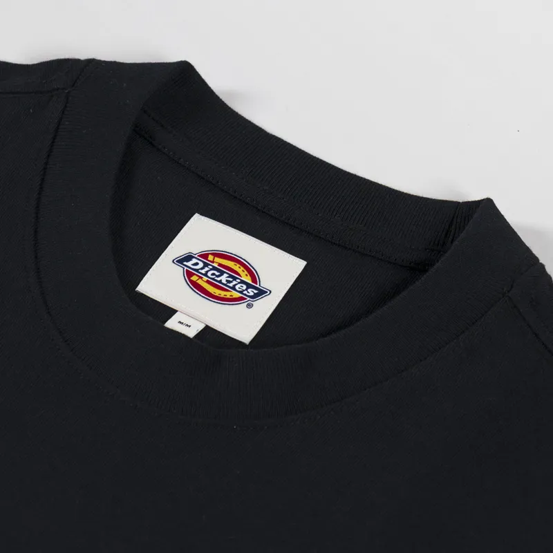 Dickies Mineral Heavyweight T Shirt Black-2