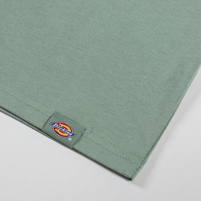 Dickies Laryville T Shirt Sea Spray-6