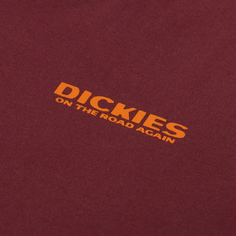 Dickies Burns T Shirt Andorra-5