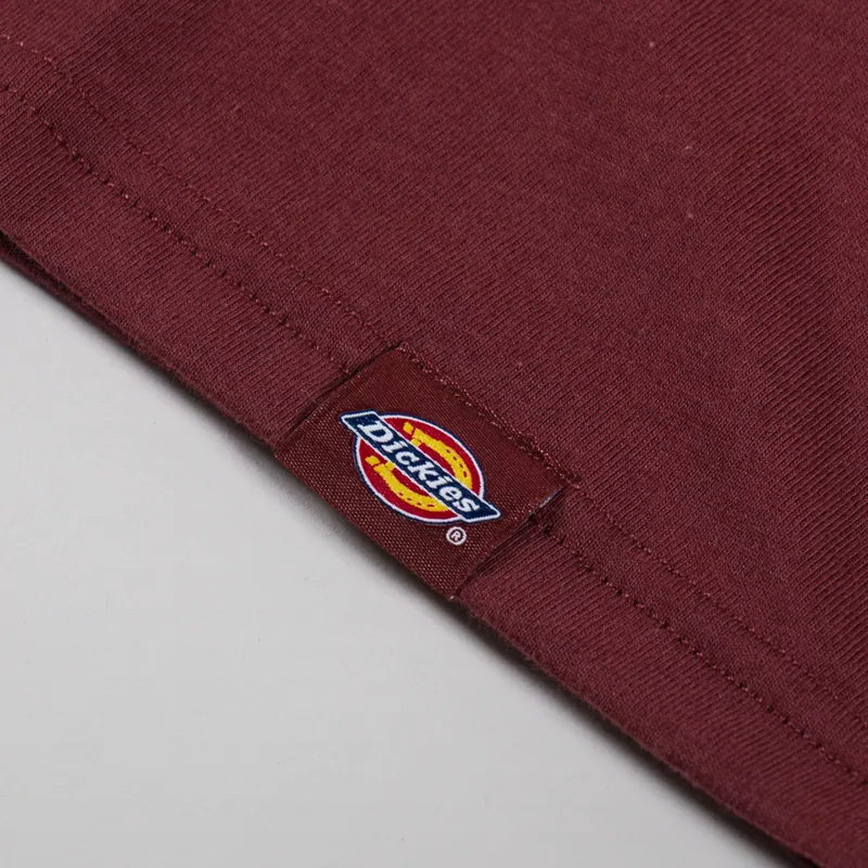 Dickies Burns T Shirt Andorra-6