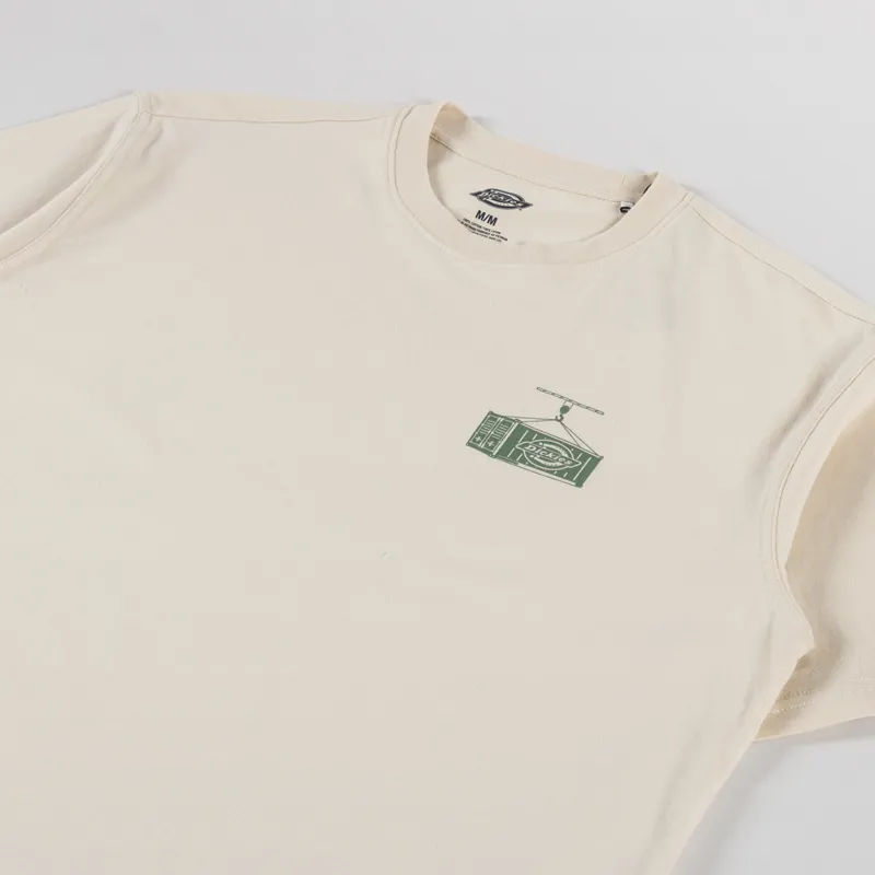 Dickies Apison T Shirt Wood Ash-3