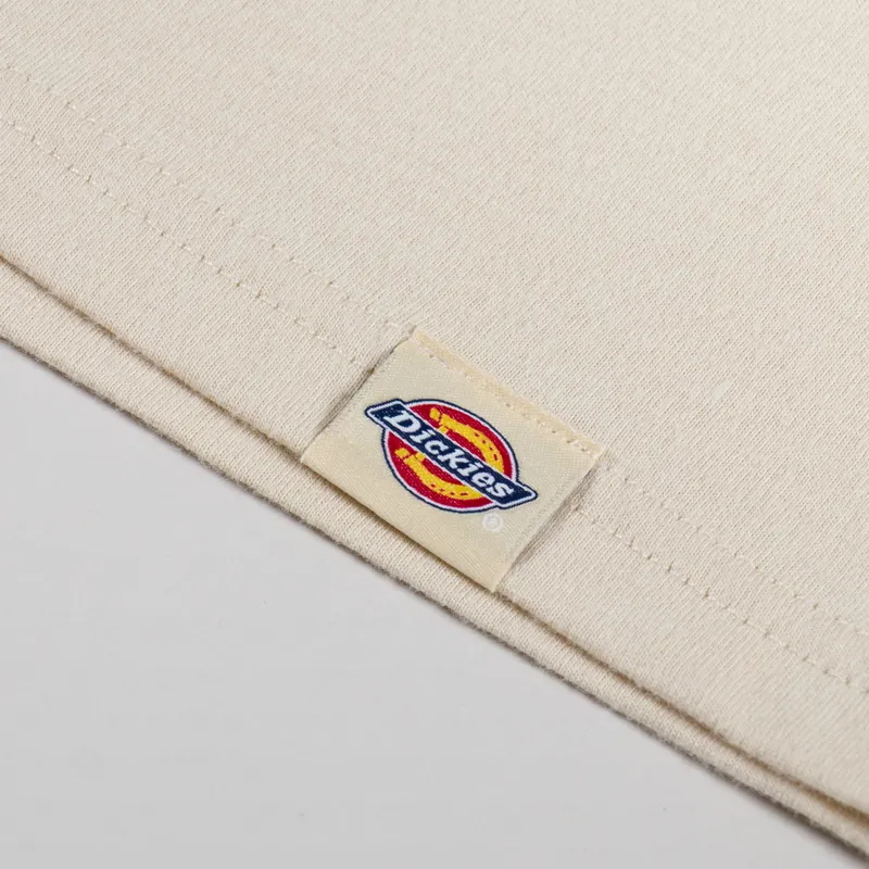 Dickies Apison T Shirt Wood Ash-6