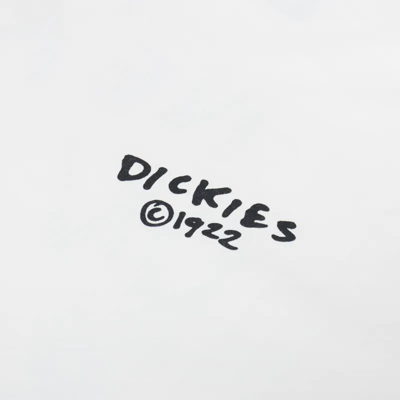 Dickies Sneedville T Shirt Egret-5