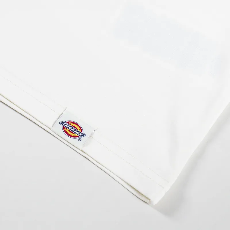 Dickies Sneedville T Shirt Egret-6