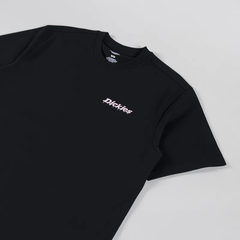 Dickies Statesville T Shirt Black-2