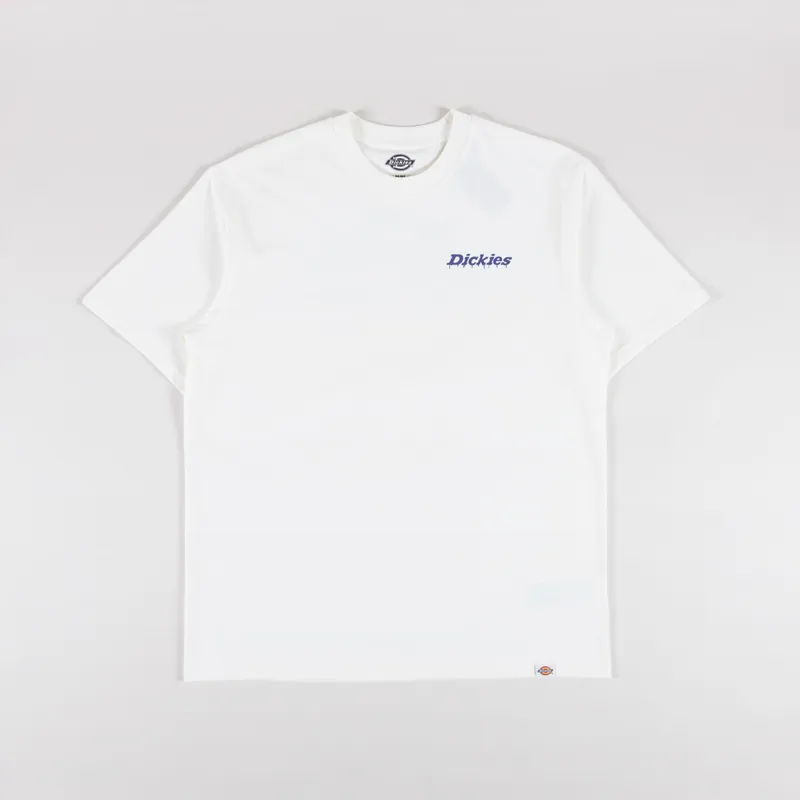 Dickies Statesville T Shirt Egret-1