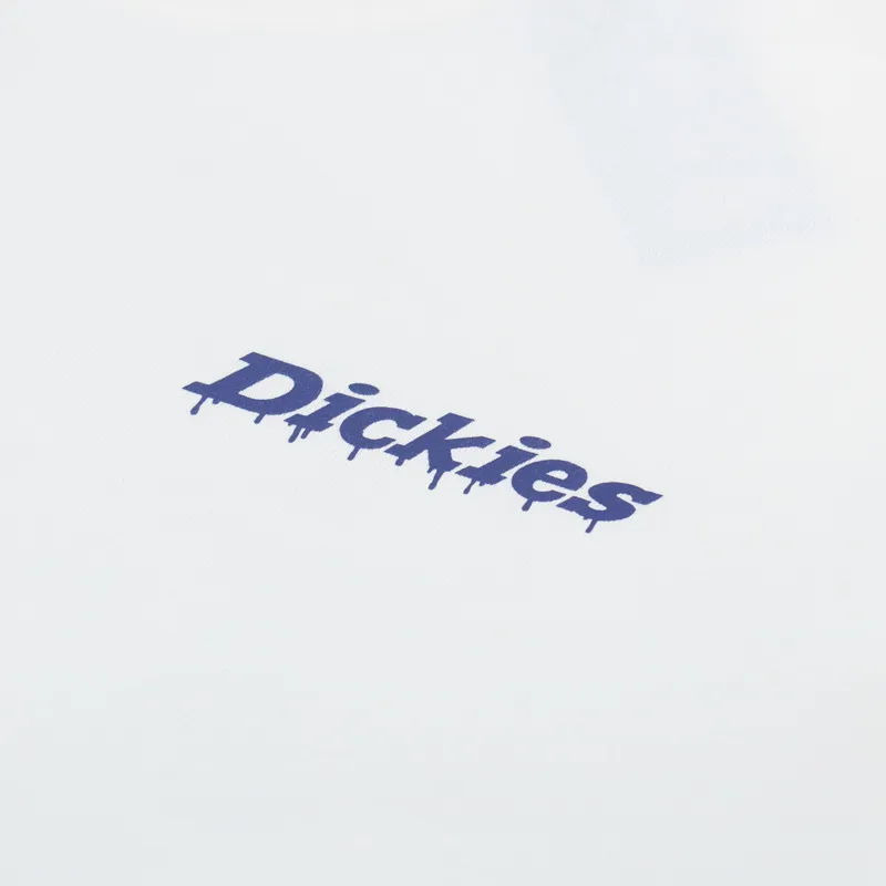 Dickies Statesville T Shirt Egret-5