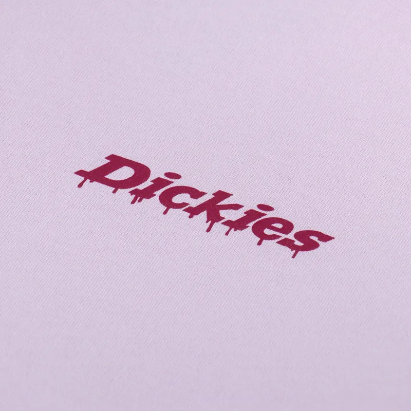 Dickies Statesville T Shirt Winsome Orchid-5