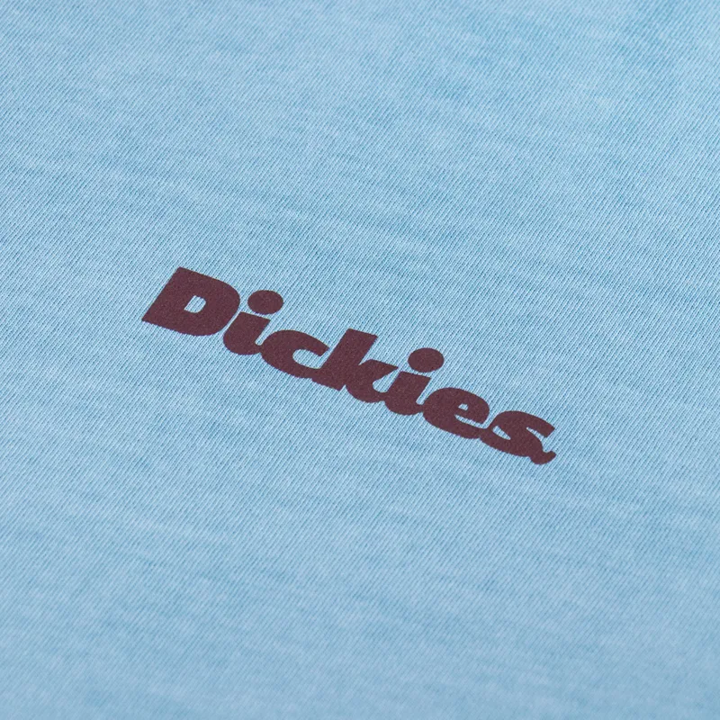 Dickies Slayden Garment Dyed T Shirt Glacier Lake-5