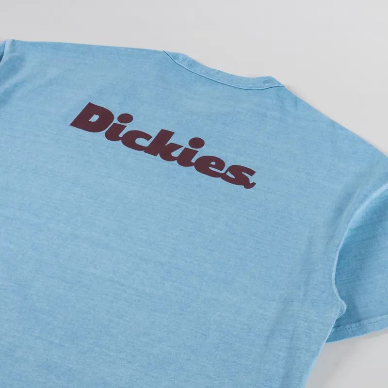 Dickies Slayden Garment Dyed T Shirt Glacier Lake-2
