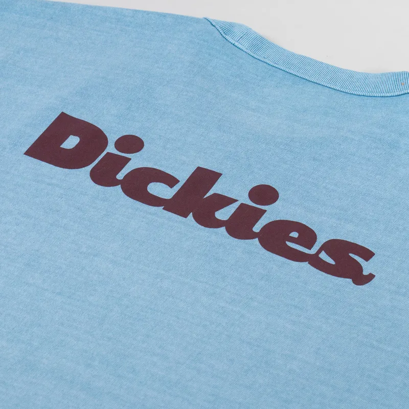 Dickies Slayden Garment Dyed T Shirt Glacier Lake-4