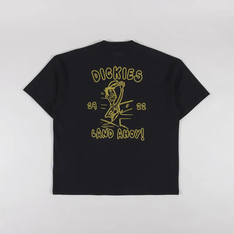 Dickies Decartuville T Shirt Black