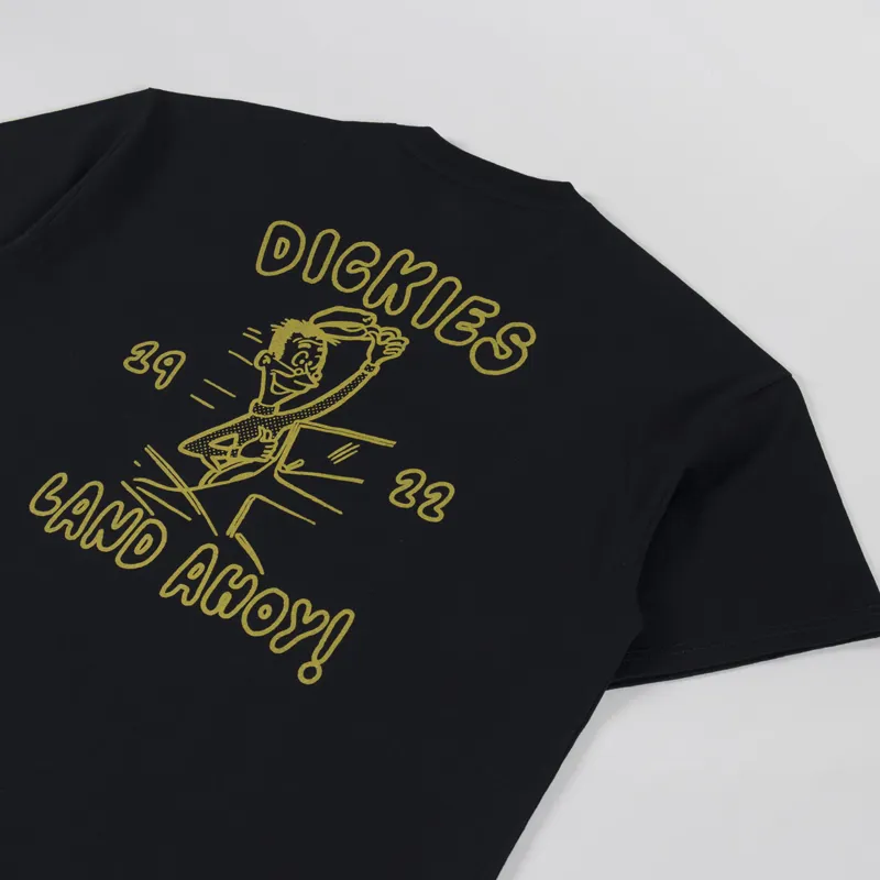 Dickies Decartuville T Shirt Black-2