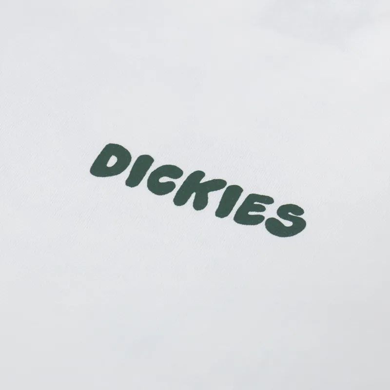Dickies Gordonsville T Shirt Egret-5