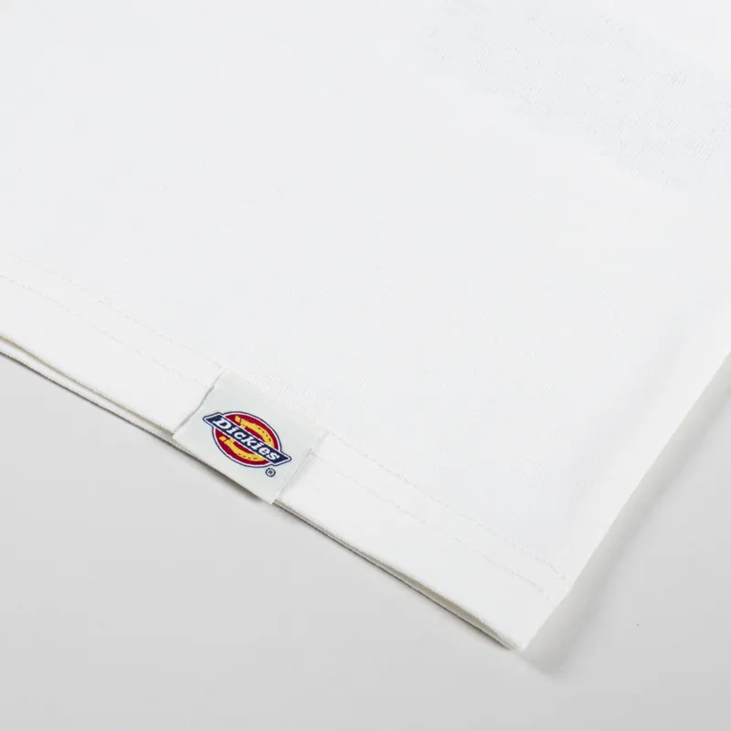 Dickies Gordonsville T Shirt Egret-6