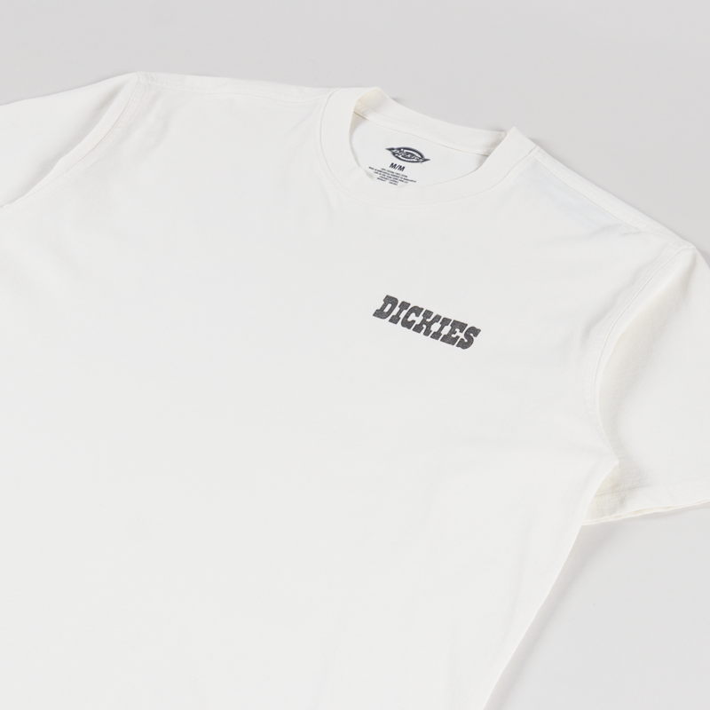 Dickies Buchtell T Shirt Egret-3