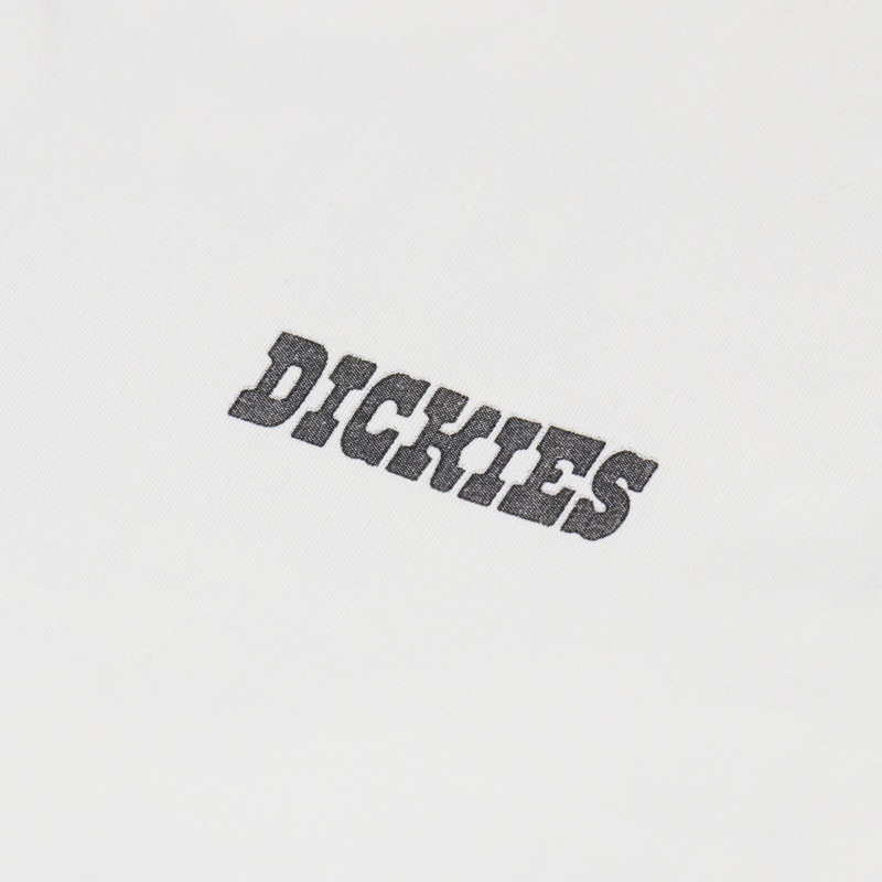 Dickies Buchtell T Shirt Egret-5