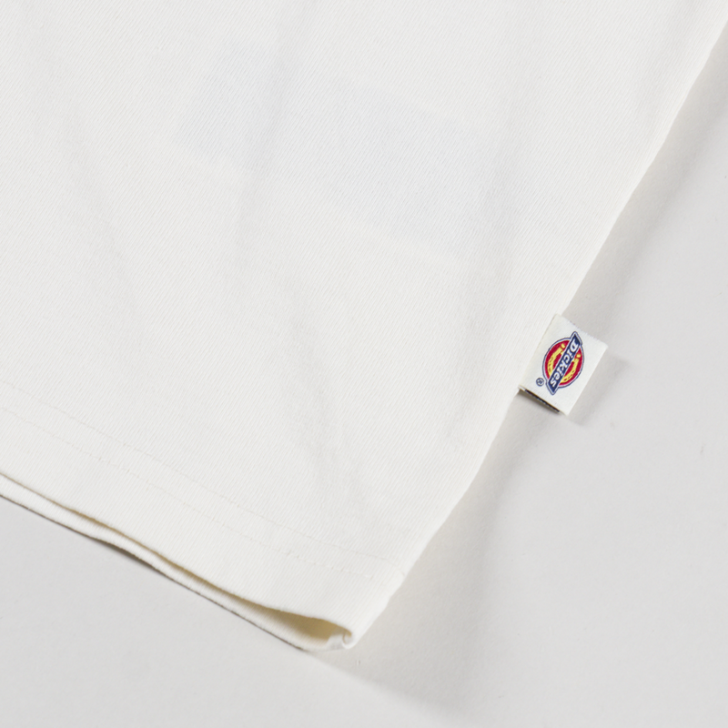 Dickies Buchtell T Shirt Egret-6