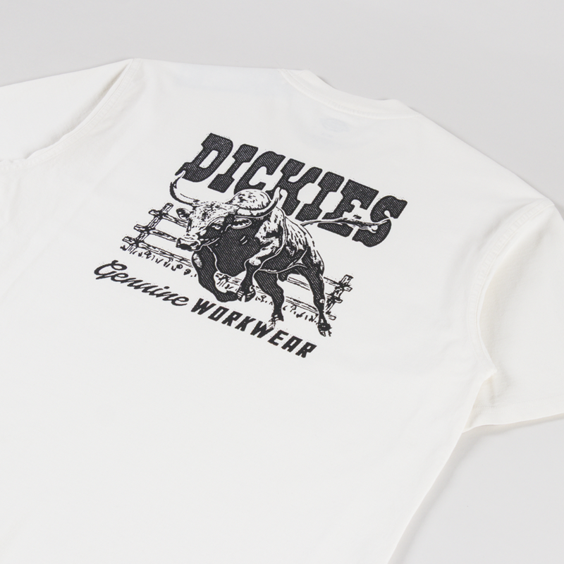 Dickies Buchtell T Shirt Egret-2