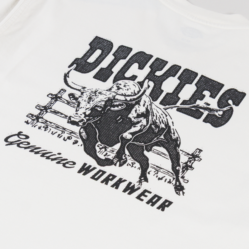 Dickies Buchtell T Shirt Egret-4
