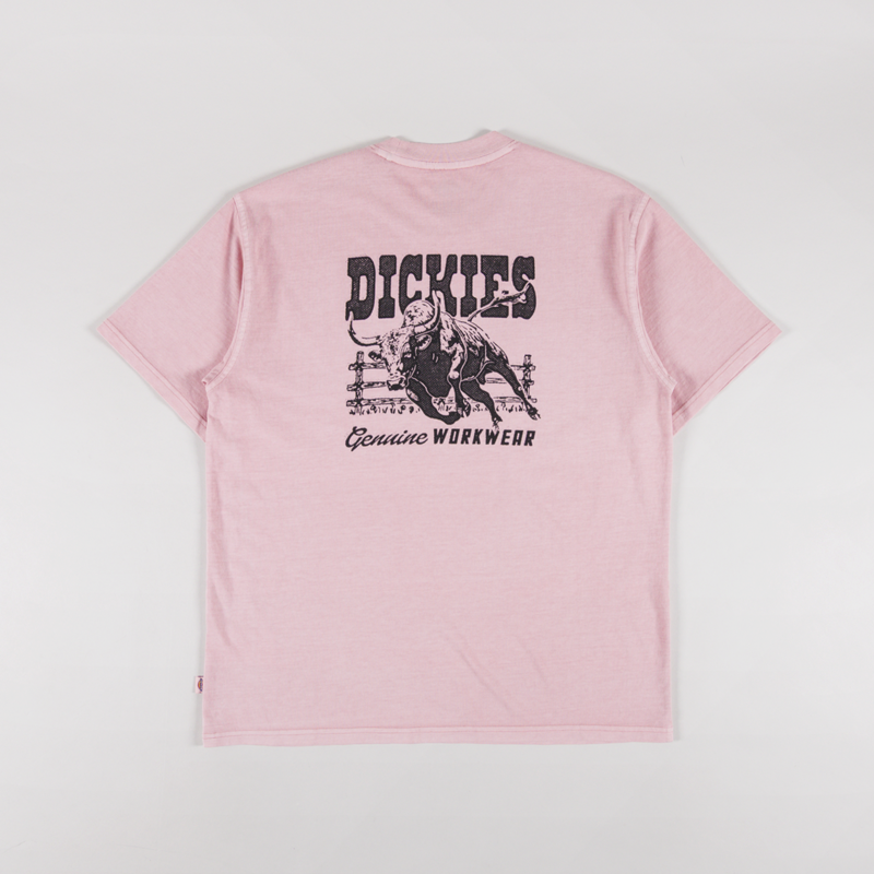 Dickies Buchtell T Shirt Bridal Rose