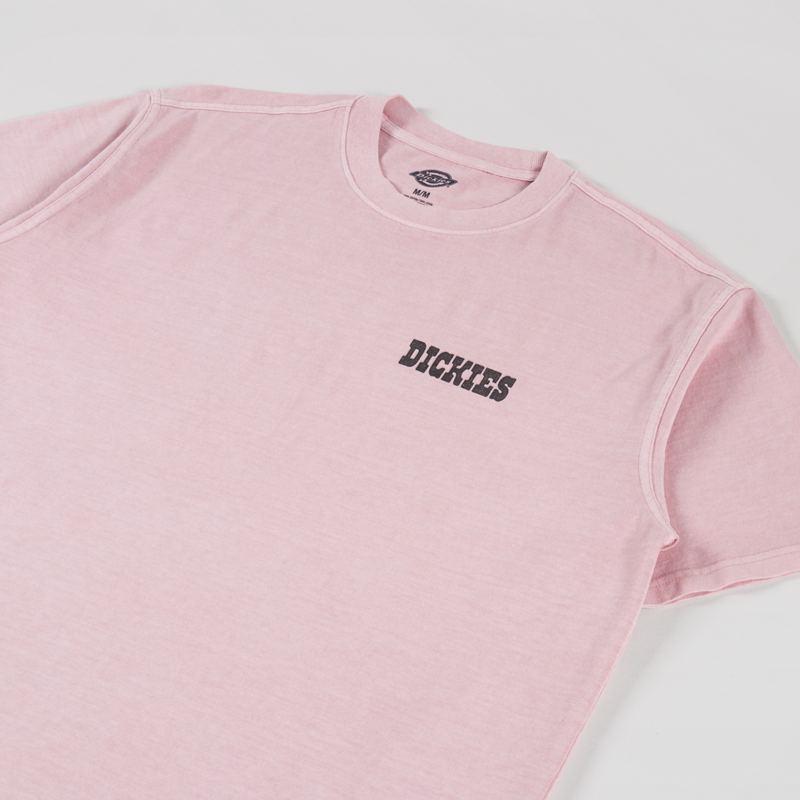 Dickies Buchtell T Shirt Bridal Rose-3