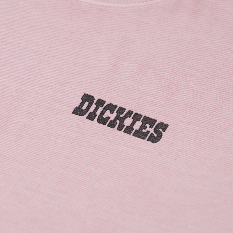 Dickies Buchtell T Shirt Bridal Rose-5