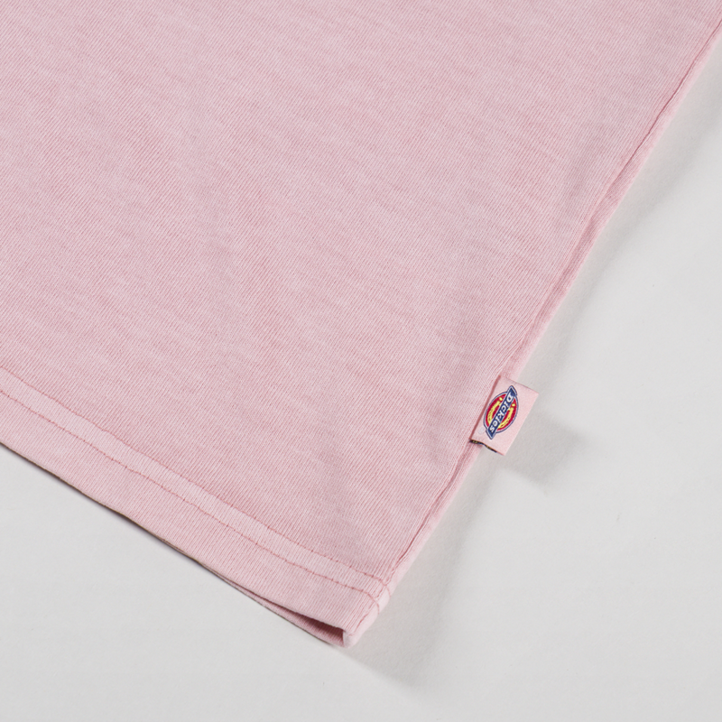 Dickies Buchtell T Shirt Bridal Rose-6