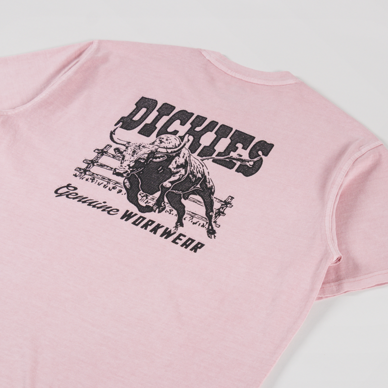 Dickies Buchtell T Shirt Bridal Rose-2