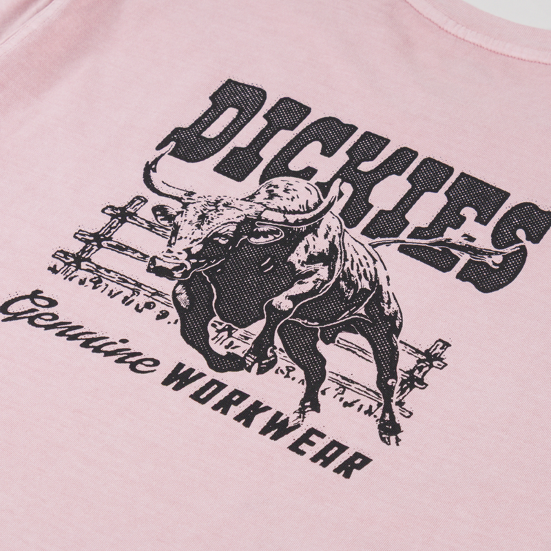 Dickies Buchtell T Shirt Bridal Rose-4