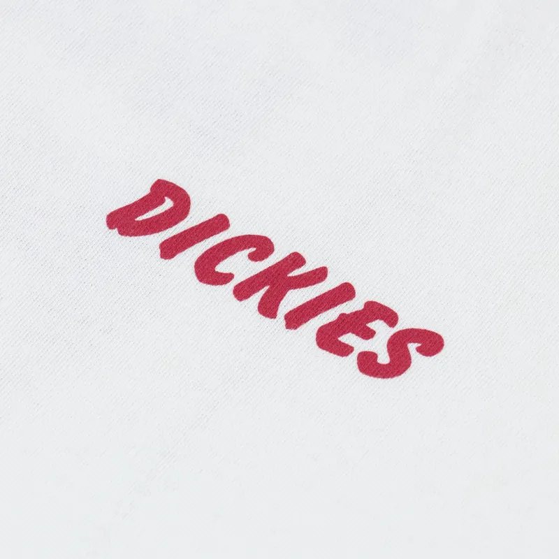 Dickies Dry Ridge T Shirt Egret-6