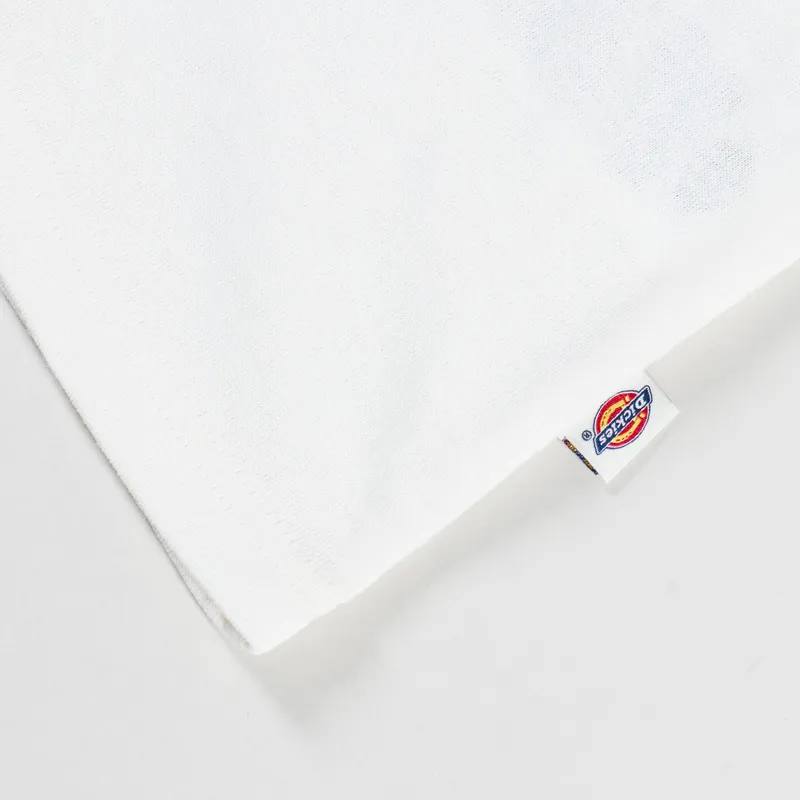 Dickies Dry Ridge T Shirt Egret-8