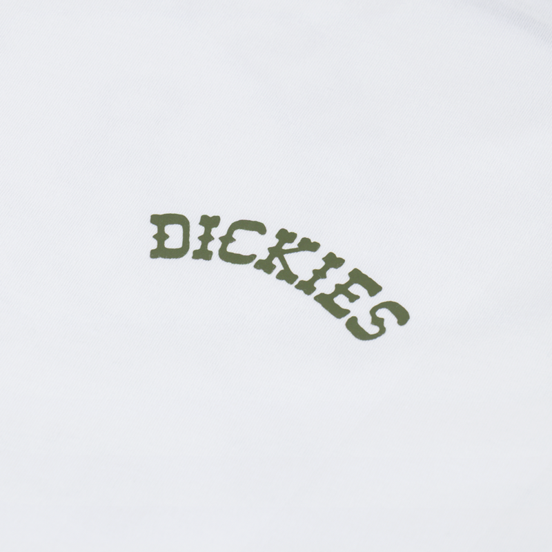 Dickies Bettsville T Shirt White-5