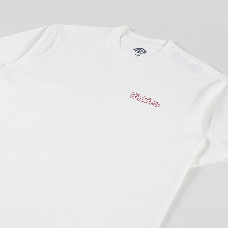 Dickies Fairlawn T Shirt Egret-3