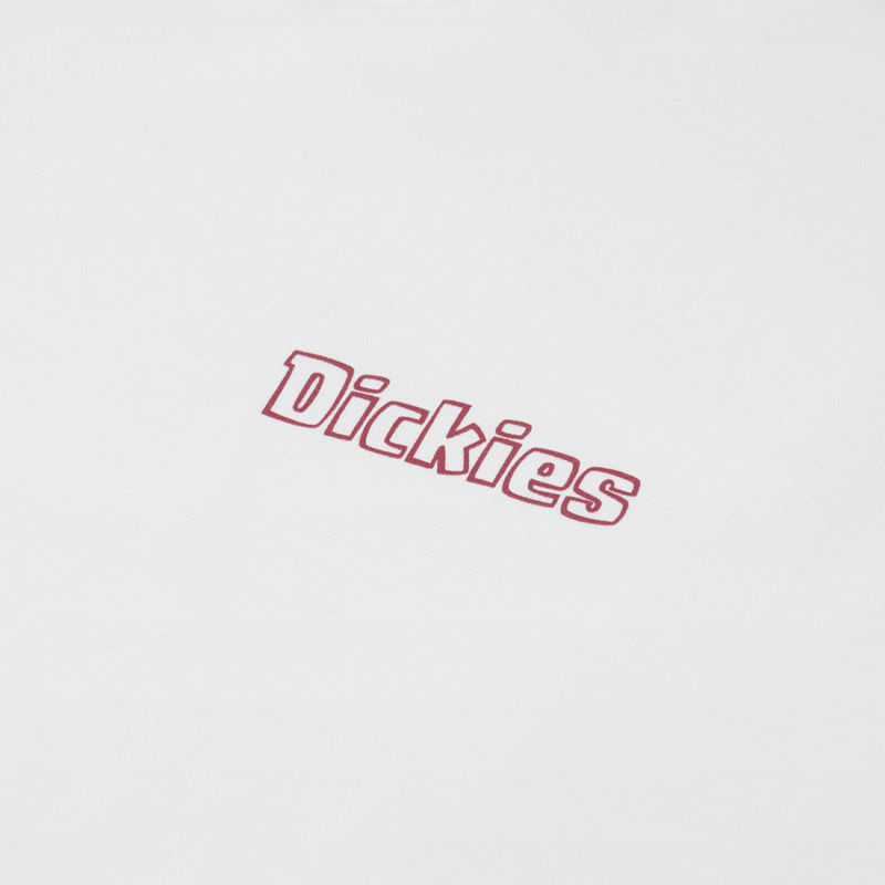 Dickies Fairlawn T Shirt Egret-5