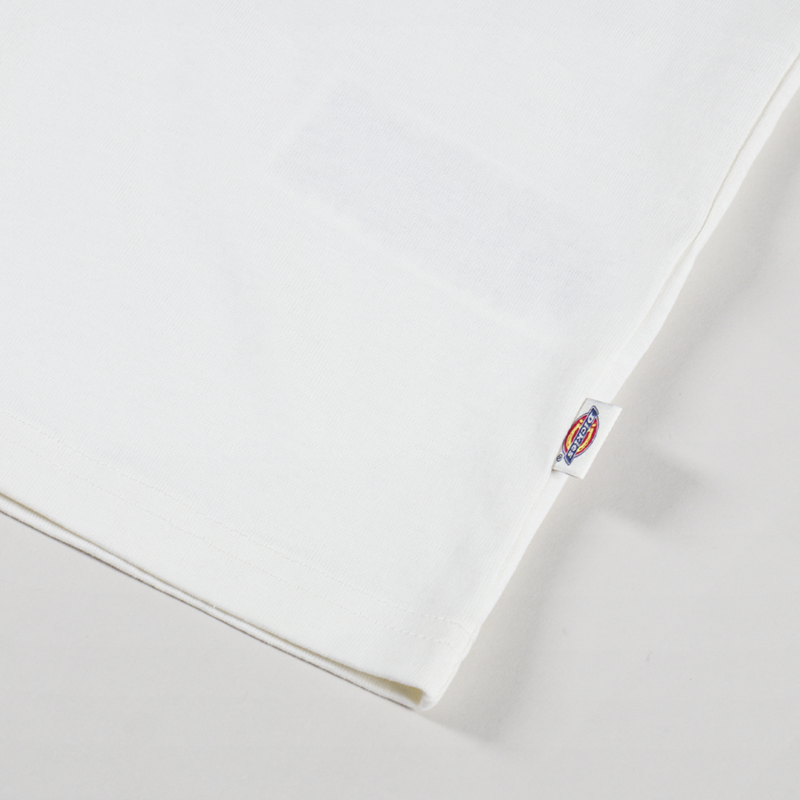 Dickies Fairlawn T Shirt Egret-6