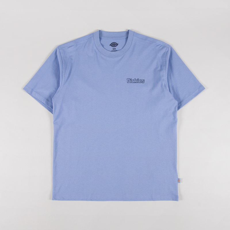 Dickies Fairlawn T Shirt Endless Sky-1