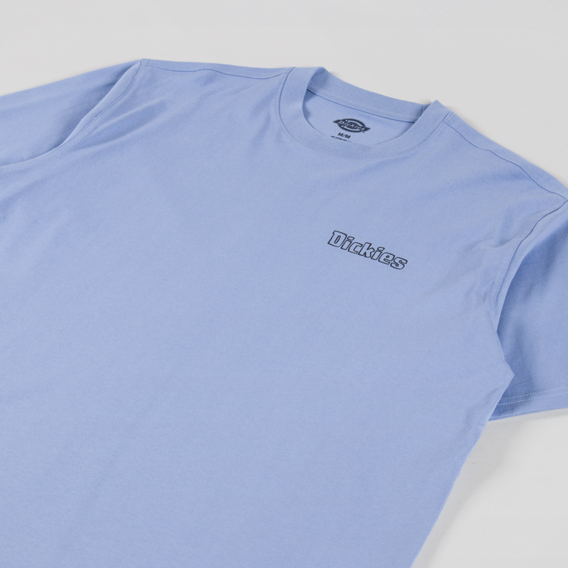 Dickies Fairlawn T Shirt Endless Sky-3