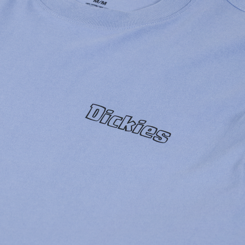 Dickies Fairlawn T Shirt Endless Sky-5