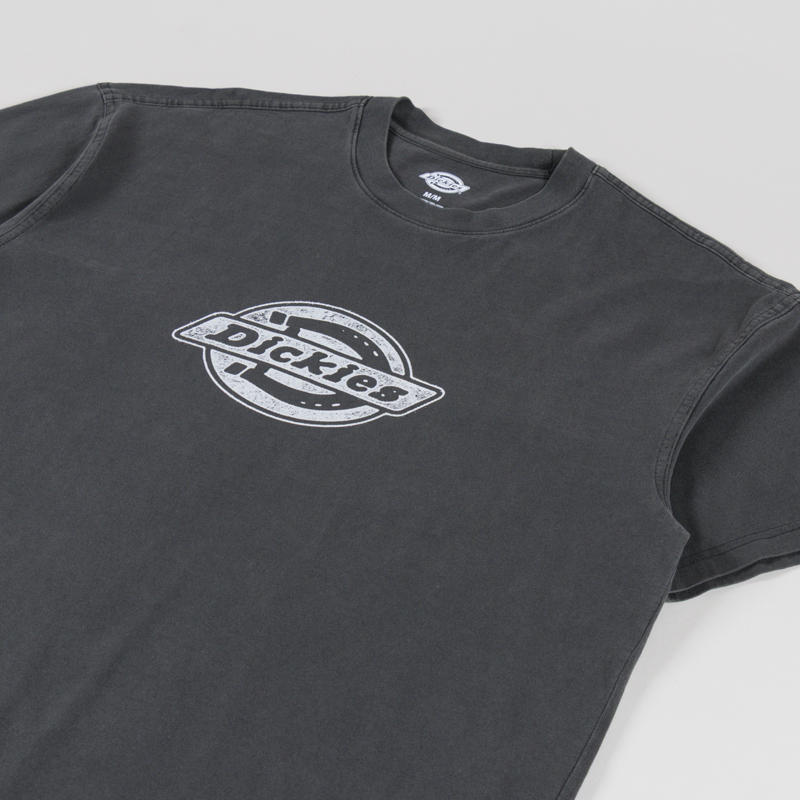 Dickies Plainville T Shirt Black-1